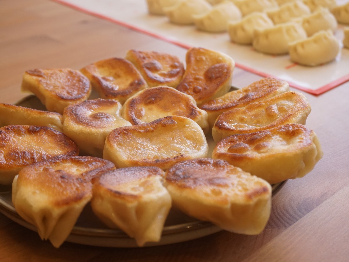 Pan Fried Fish Dumplings